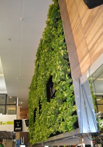 pad green wall1